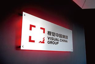 餓了么高管變動與商業競爭新動態 王秋曉離職與董明珠的十億賭約